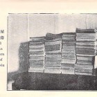 16981