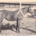 18181