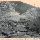 18436