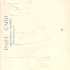 18556