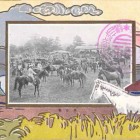 18560