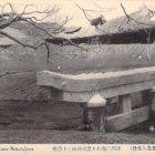 18769