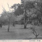 19126
