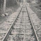 24919
