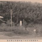 25050